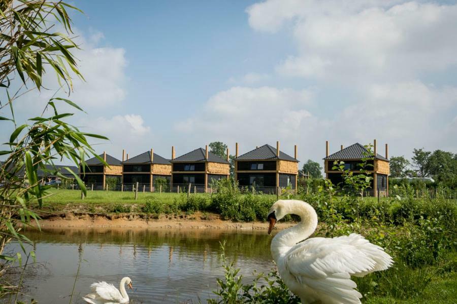 Camping Nieuw Romalo Voorthuizen Zewnętrze zdjęcie